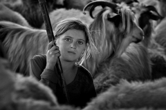 Shepherd-girl