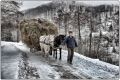 Romania - La neve